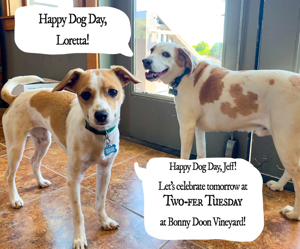 BonnyDoonVineyd's tweet photo. Happy #NationalDogDay from two of our #BonnyDogs! Jeff and Loretta are looking forward to seeing you tomorrow for Two-fer Tuesday. Two tastings for the price of one! Be there or be square!
.
.
.
#BonnyDoonVineyard #DoggyDoon #TastingRoom #winelover #winetravel #winedogs https://t.co/Pc3bTj6gmT