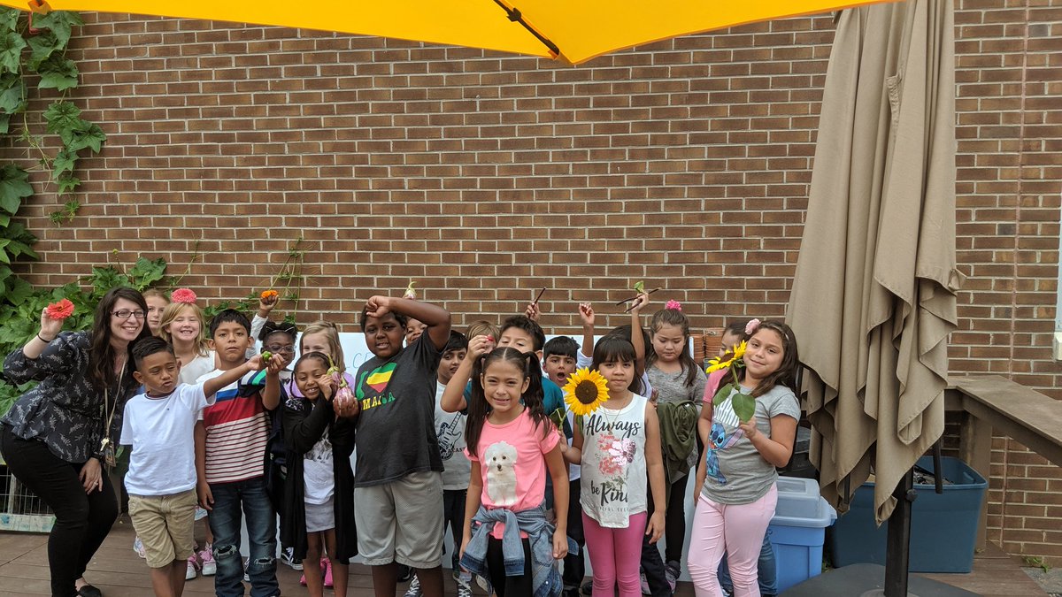 Mrs.Birns tweet media