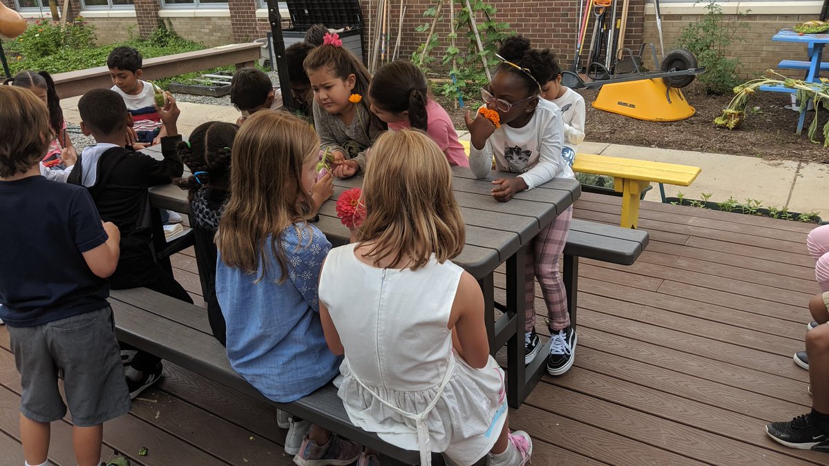 Mrs.Birns tweet media