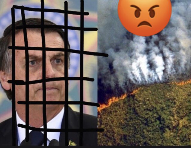 LLSSerrano's tweet image. El PP pide prisión permanente revisable para Bolsonaro 

CULPABLE‼️👎🏼
#Amazonas
#Amazonía
#AmazonOnFire

amp.20minutos.es/noticia/373914…