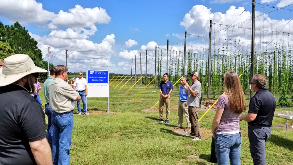 UF Vegetable & Fruit Nematology tweet media