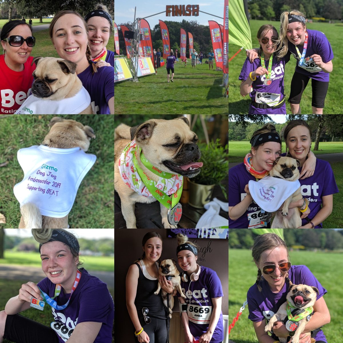 JadeAllen94's tweet photo. So proud of Gizmo for his second @DogJogUK & @AmbaMckenna for her @BigFunRun, raising over Β£200 for @beatED! π They are amazing! π
@beatED, your little ambassador, AKA Gizmo, did you proud! His little legs didn't stop! πΎππββοΈππ
#DogJog #Beat #Beateatingdisorders #BigFunRun https://t.co/gAbZ2xQD91
