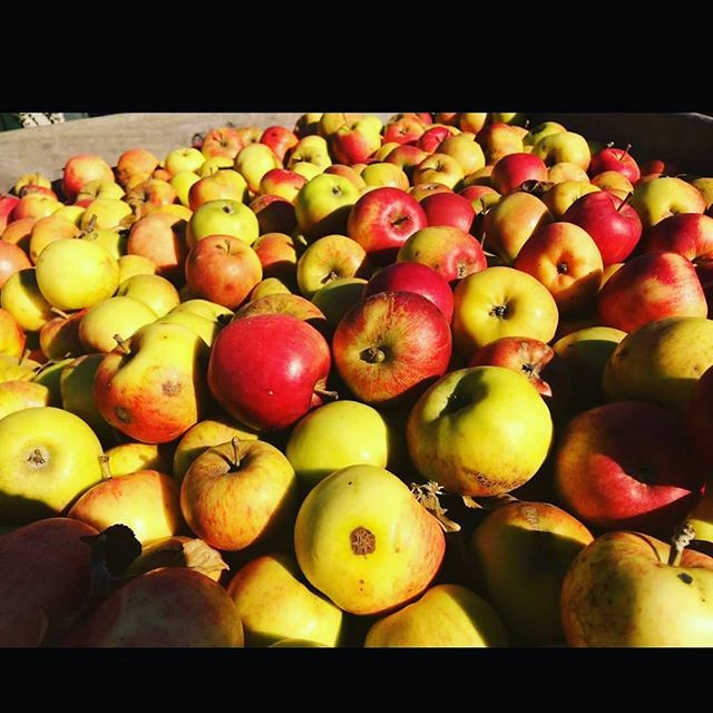 Dunfest 2020 tweet media