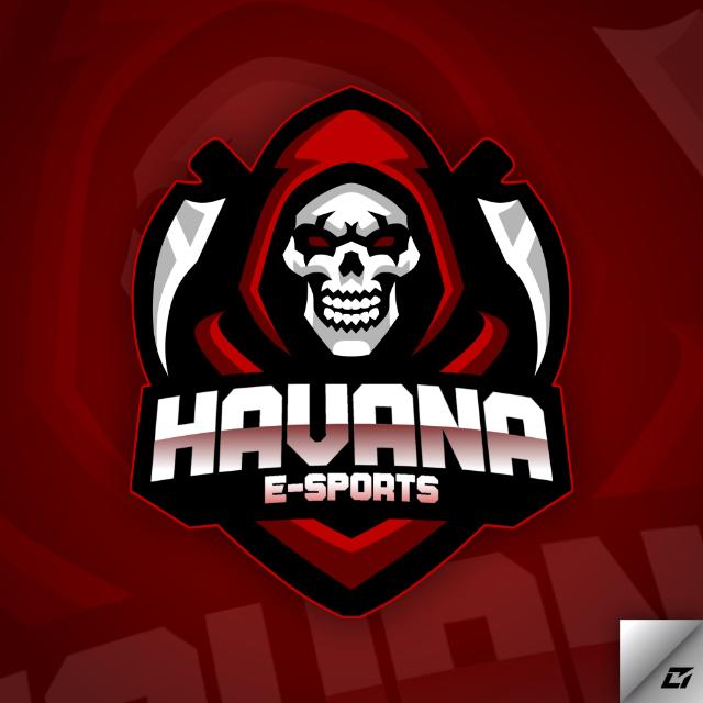 HavanaESports's tweet photo. Quem tiver interesse pode me chamar no pv. Se divulgarem fico agradecida também. Que nossa comunidade feminina cresça. #GoHaV ! https://t.co/x3p4SziFVR