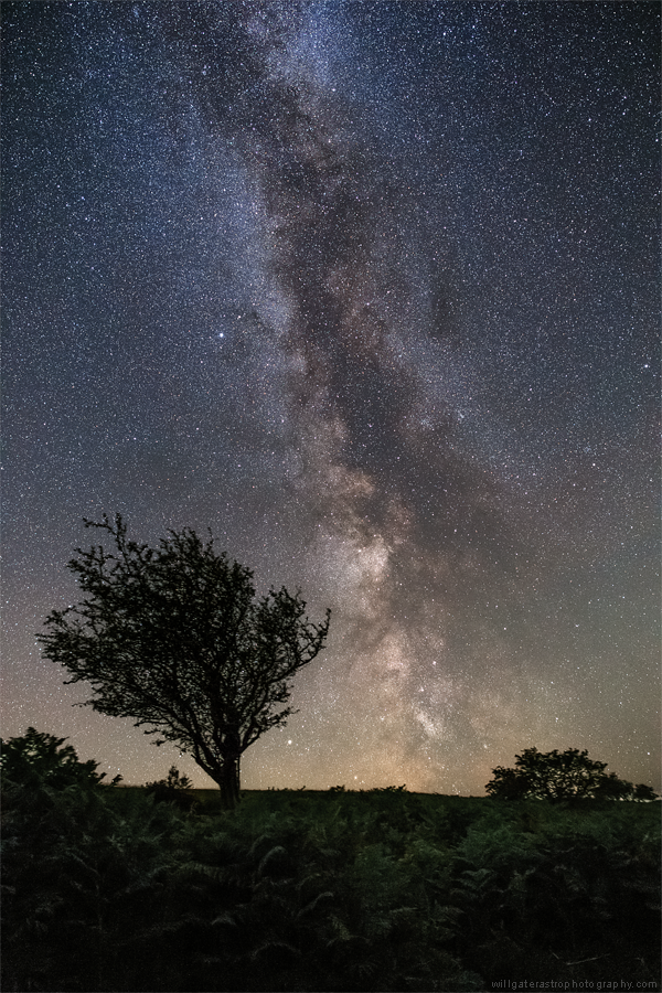willgater's tweet photo. Another view of the summer Milky Way over @ExmoorNP last night. [portrait pic so click/tap to embiggen!] 

https://t.co/KPgIh8msgf

#astrophotography #MilkyWay #Exmoor https://t.co/MHhLIJQXLl