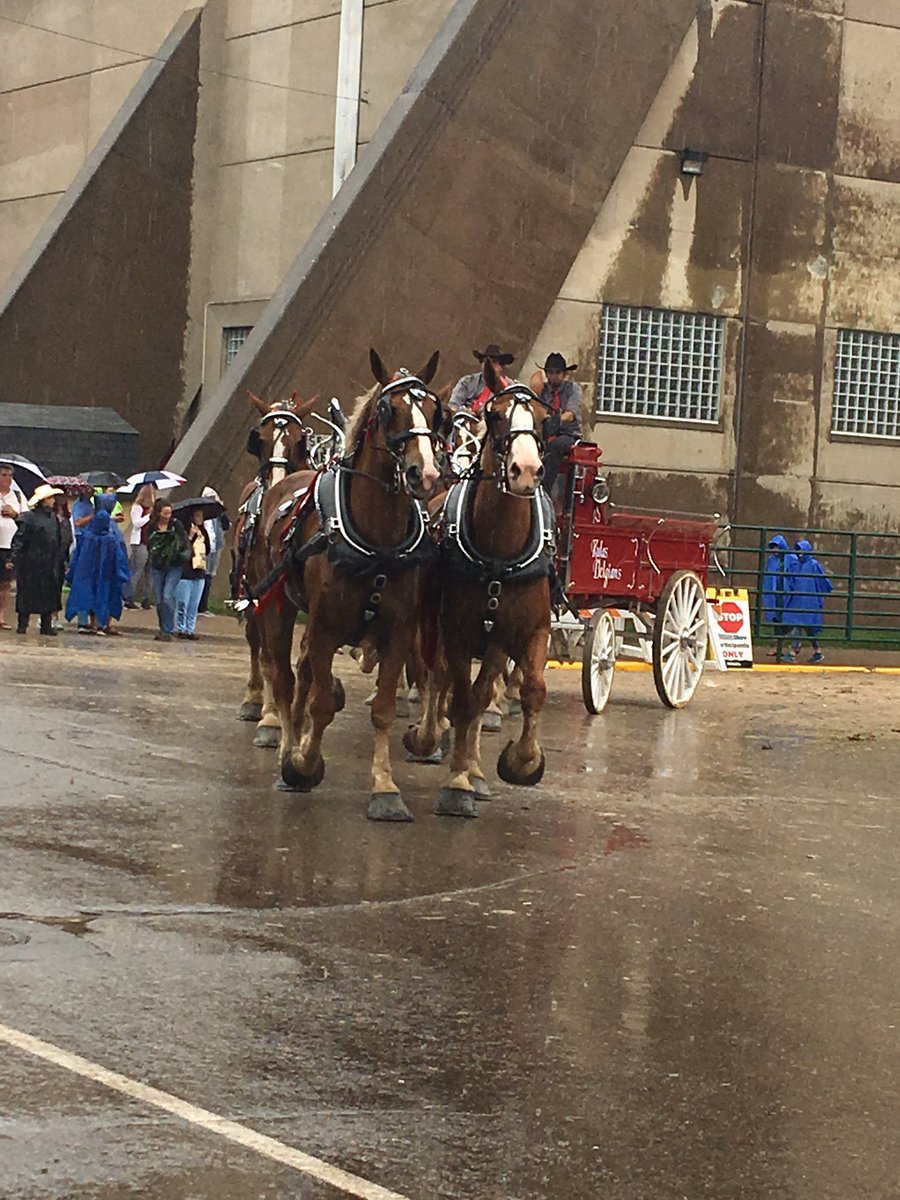 Is there a word for a large number of Clydesdales? Like a school of fish or a murder of crows?Because the horse barn is closed on account of Clydesdale.A Budweiser of Clydesdales.