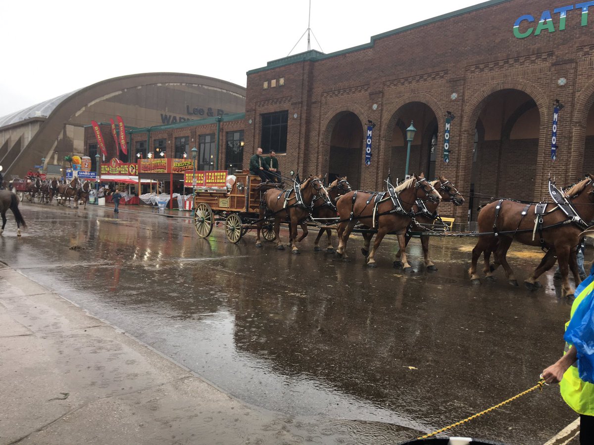 Is there a word for a large number of Clydesdales? Like a school of fish or a murder of crows?Because the horse barn is closed on account of Clydesdale.A Budweiser of Clydesdales.