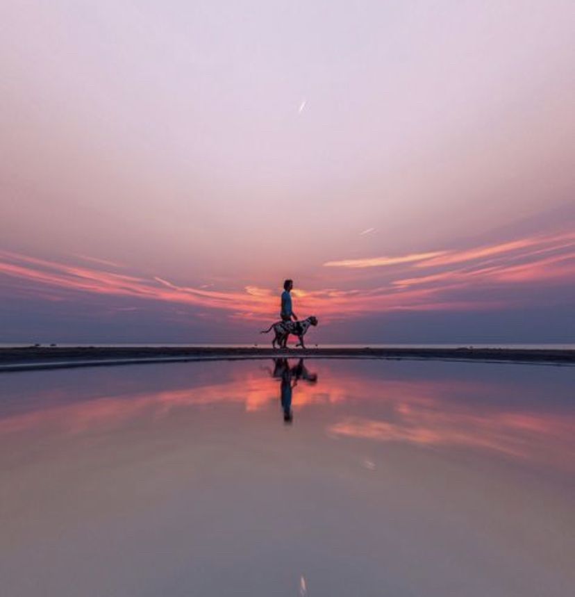 UltimateGolfVillaNMB tweet media