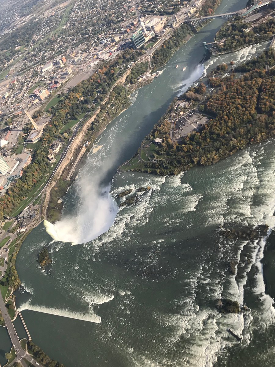 Daniel Macfarlane 🇨🇦 tweet media