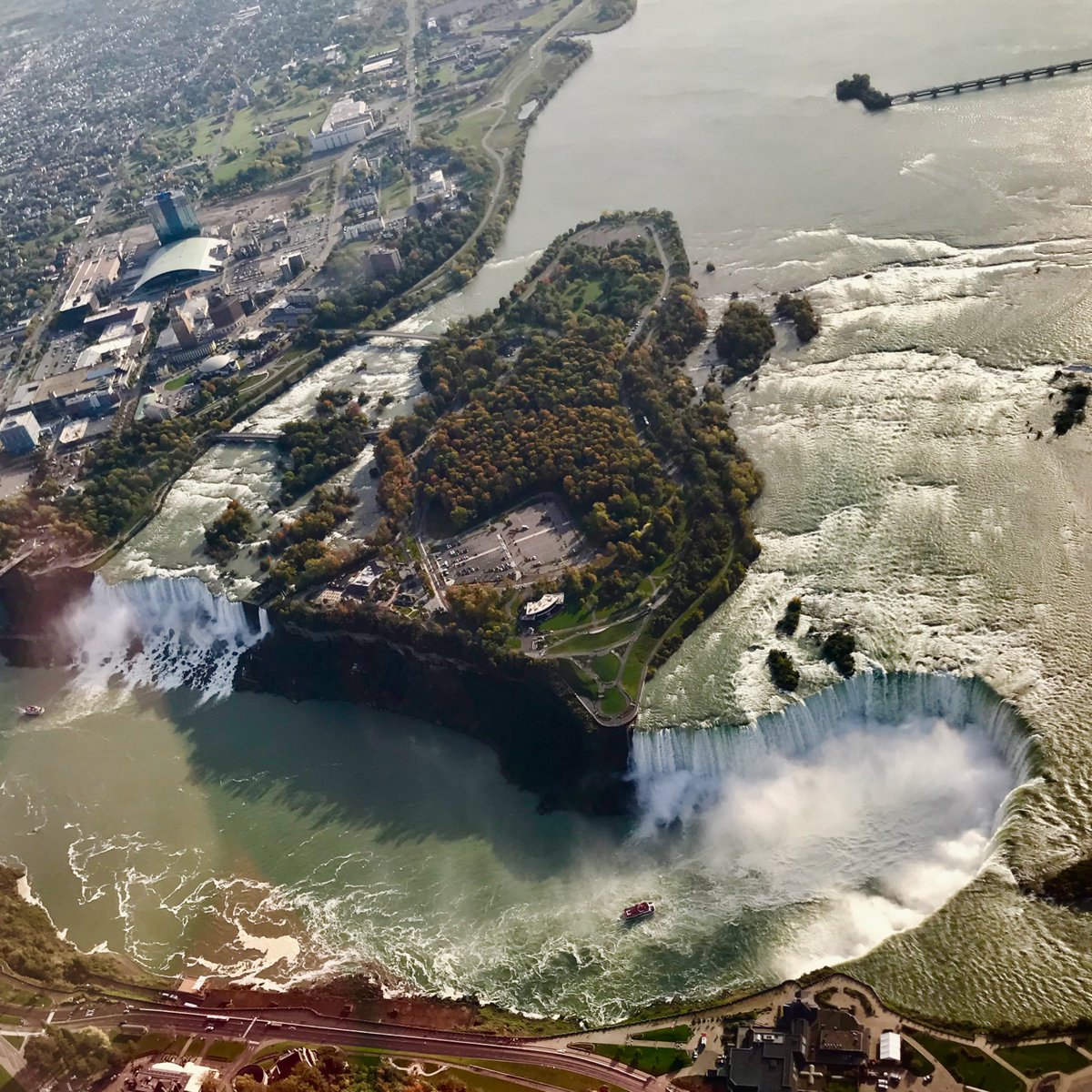 Daniel Macfarlane 🇨🇦 tweet media