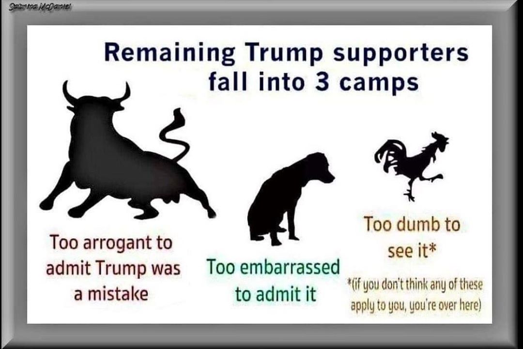 Stop_Trump20's tweet image. Which one are you #MAGA?