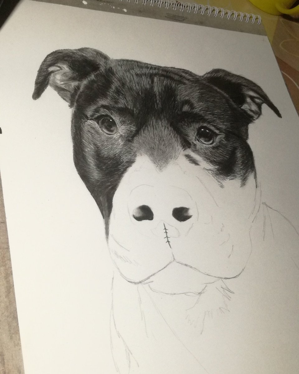 Commissioned drawing ✍🏽🖤✍🏽🖤Leo 🐾🖤 #art #arte #artwork #dogs #lovedogs #ArtistOnTwitter #draw #InternationalDogDay #pitbulllover #pitbulls