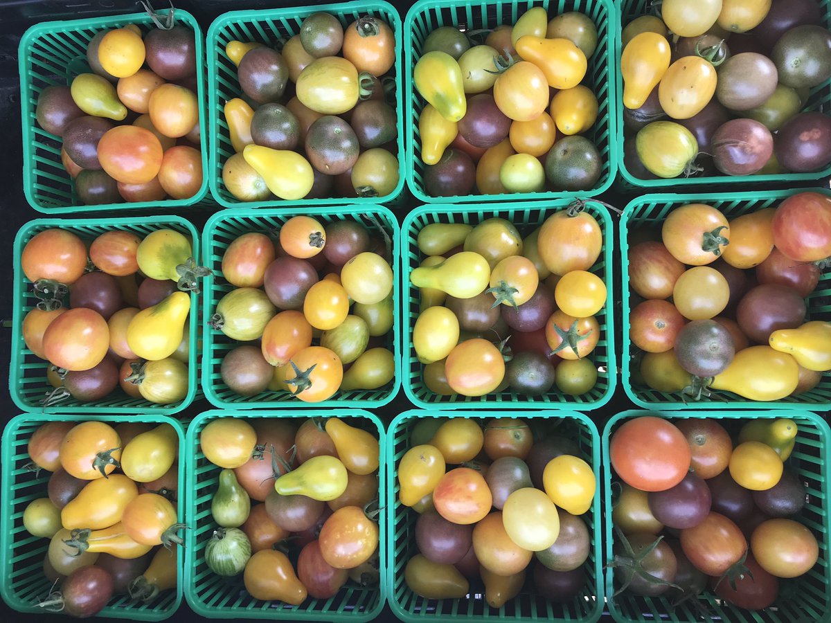 VolunteerCanada's tweet photo. @UBS Canada completed their Season of Service with a combined 65 hours of weeding, composting and harvesting of over 200lbs of vegetables with @PACTProgram today! #community @PointsofLight https://t.co/akbFm4zJ0i