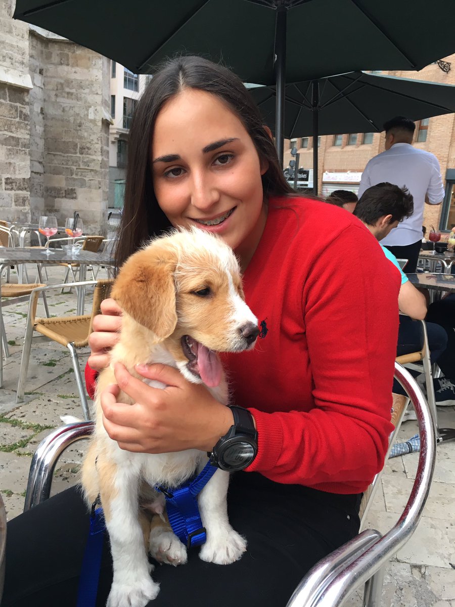 carla11p's tweet photo. Hola estoy enamorada de mi nuevo perro ❤️🥺 https://t.co/pBezhLHVQK