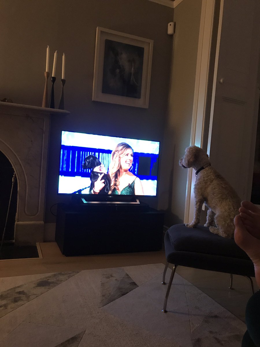 Harper glued to the #Roseoftralee