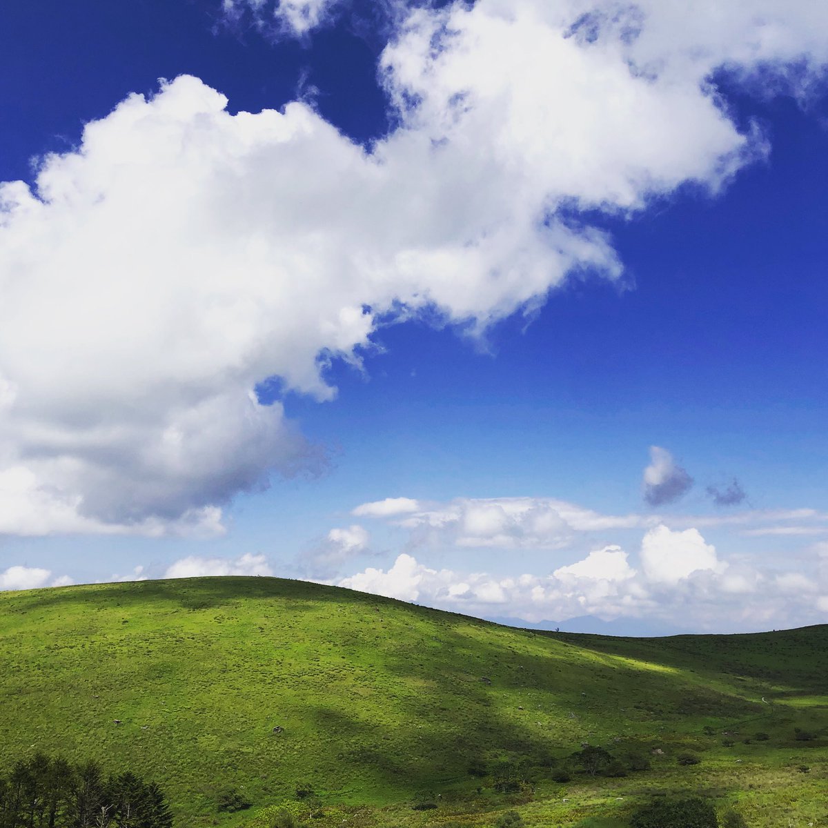 Pata 車山 霧ヶ峰のトレランで出会った Windows Xpの壁紙みたいな風景