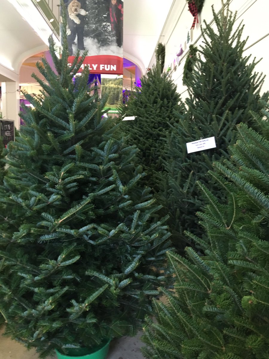 YOU ARE ALL GOOD TREES, YES YOU ARE