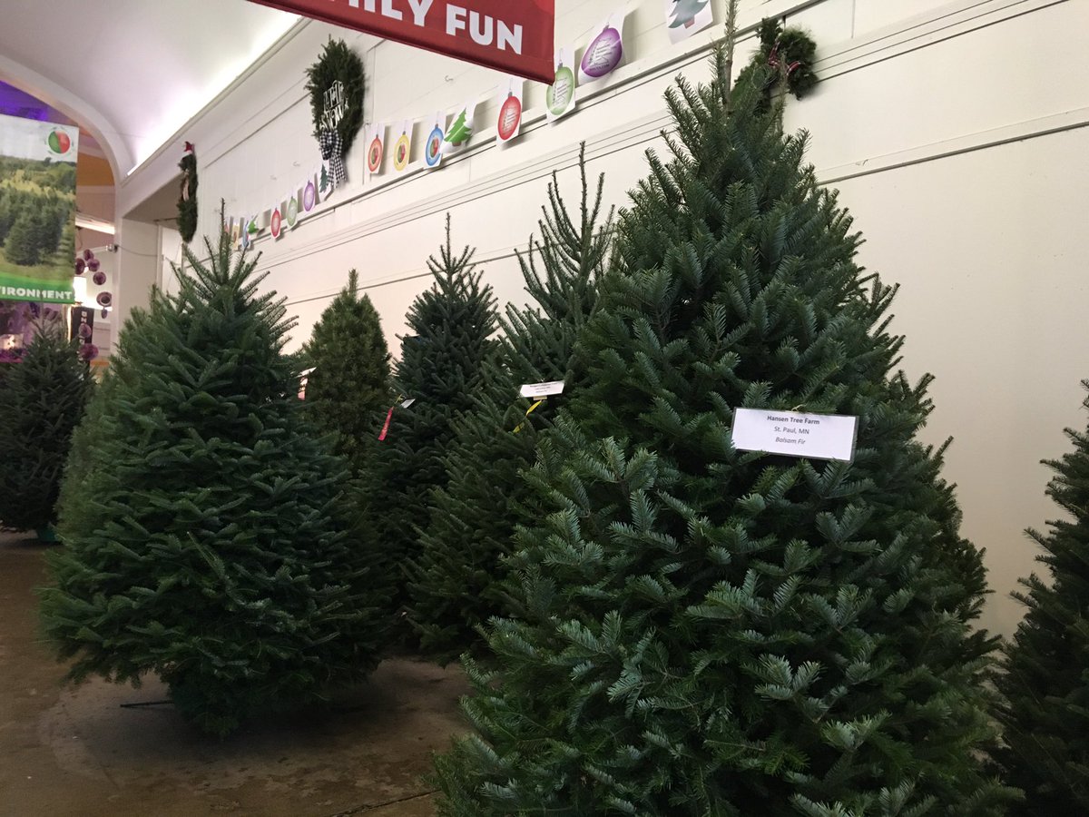 YOU ARE ALL GOOD TREES, YES YOU ARE