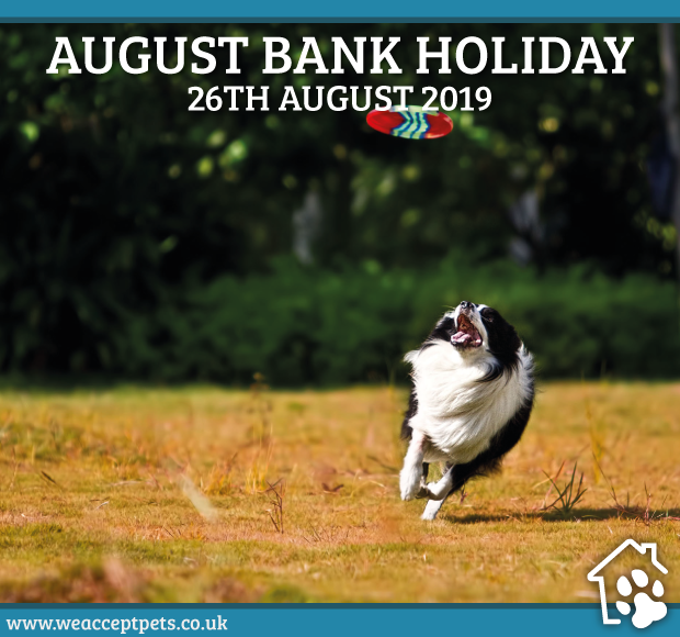 WeAcceptPets's tweet photo. The best part about a #bankholiday is getting to spend an extra day with our #fourLeggedfriends! We'd love to see what fun things you're getting up to today!
https://t.co/Lun3HHBHKc
#BankHolidayMonday #BankHolidayWeekend #AugustWeekend #Dogs #Cats #DogLovers #CatLovers #Pets https://t.co/9GzPoYMg9Q