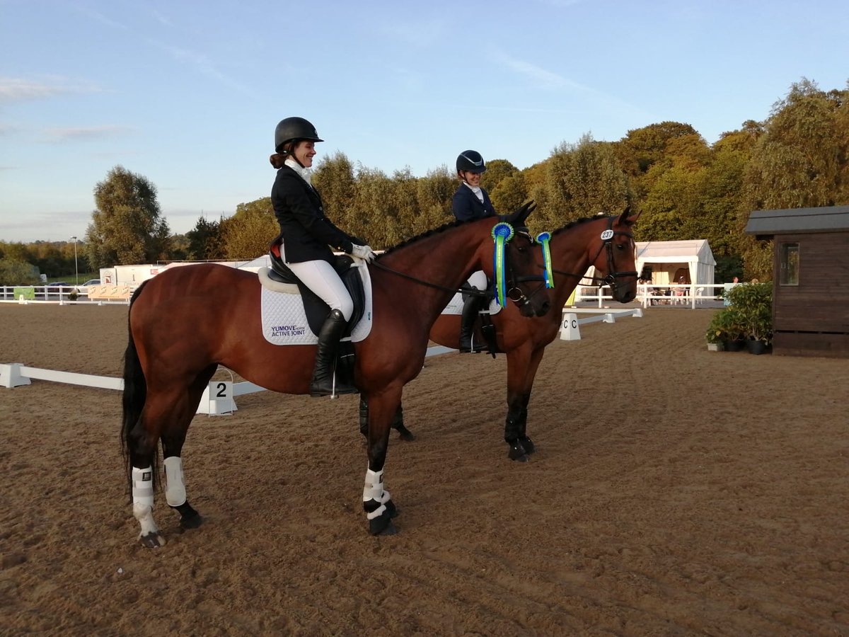 VetGoneEventing's tweet photo. Flicka 2nd at Medium Silver Petplan Area Festival at Hartpury 😁🌟 🥈 #Yumove #ActiveJoint
Great to meet fellow @lintbellsequine rider @LydiaHannon very close in 3rd! https://t.co/3HGvRvr0TR