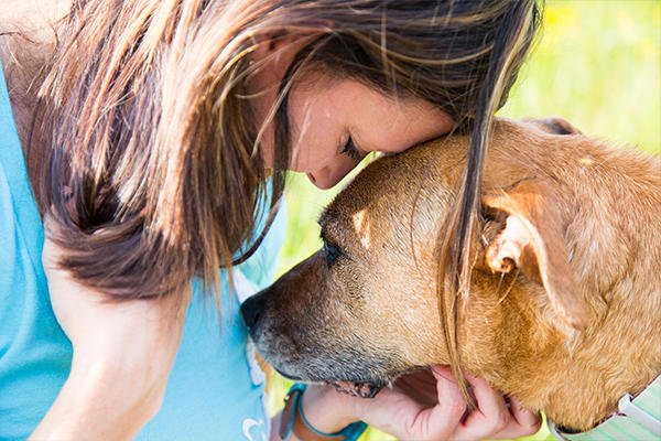 It's #NationalDogDay! 🐶
Check out this article on our blog about how pets can help with #grief. newcomerfamily.com/Blog/6219/grie…