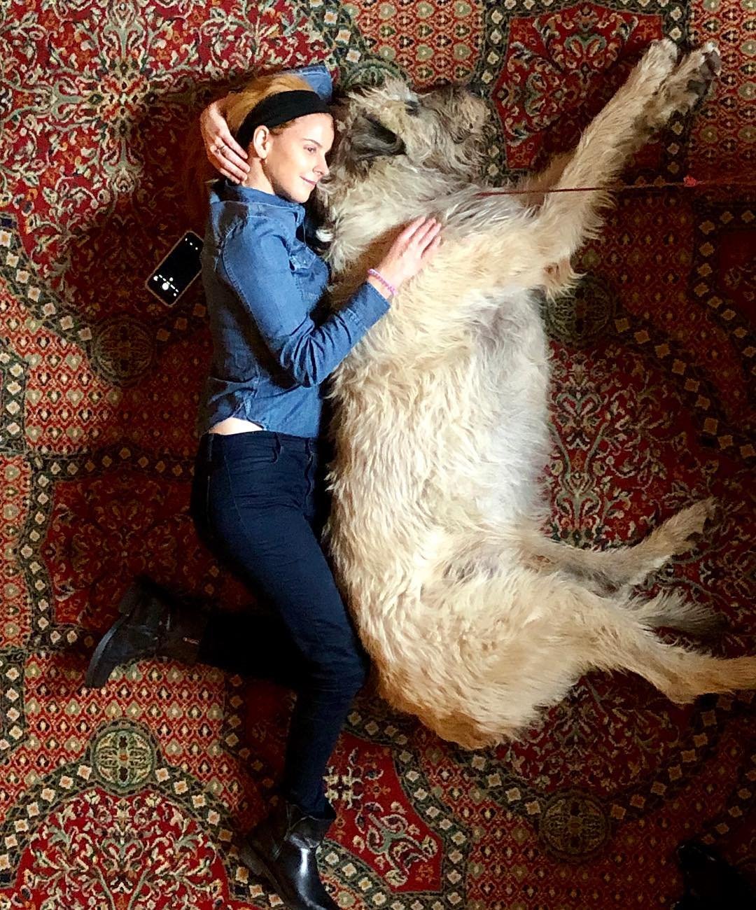 USA Network on Twitter "Celebrating our best friends. 🐶 Happy 