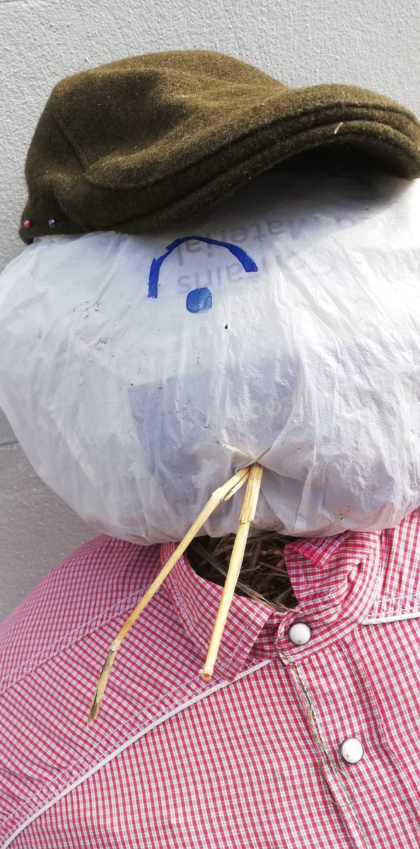 bampton_fair's tweet image. It's the last week of this year's #Bampton #Scarecrow Trail &amp;amp; it's been a cracker! Thank you to everyone who has taken part, visited the trail &amp;amp; entered the fab kids' drawing competition - winners will be announced in early Sept - you can still catch the trail until #Saturday