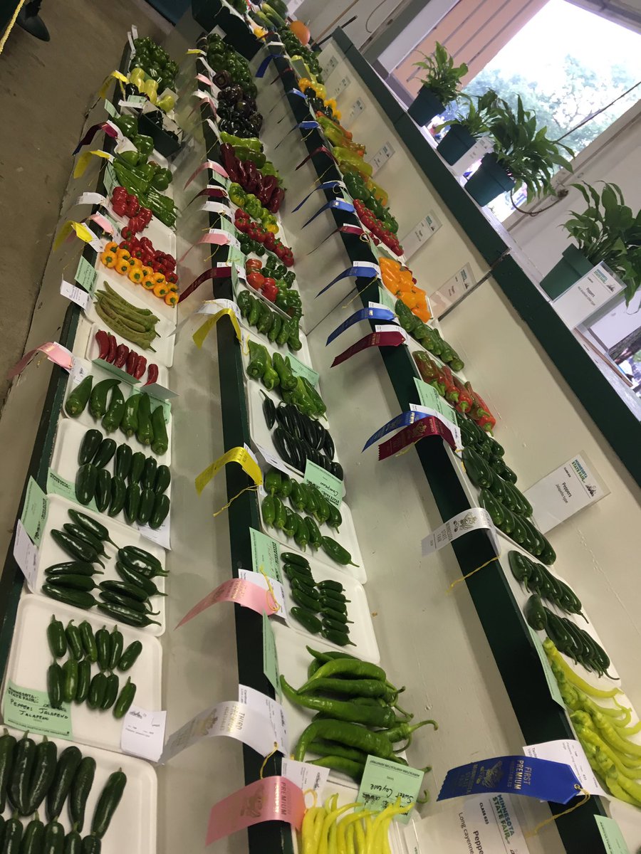 Not even a quick pat on this peck of peppers?