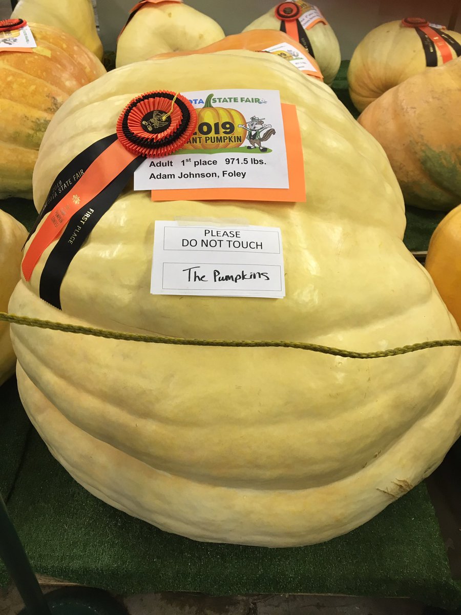In awe of the size of the gourd