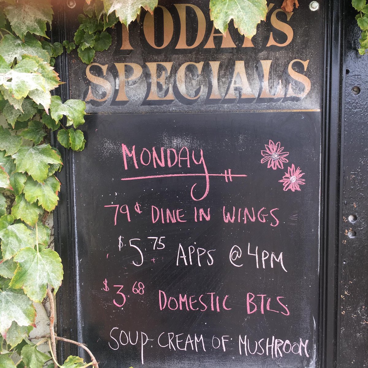 Ivy Arms tweet media