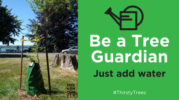 Vancouver Board of Parks and Recreation tweet media