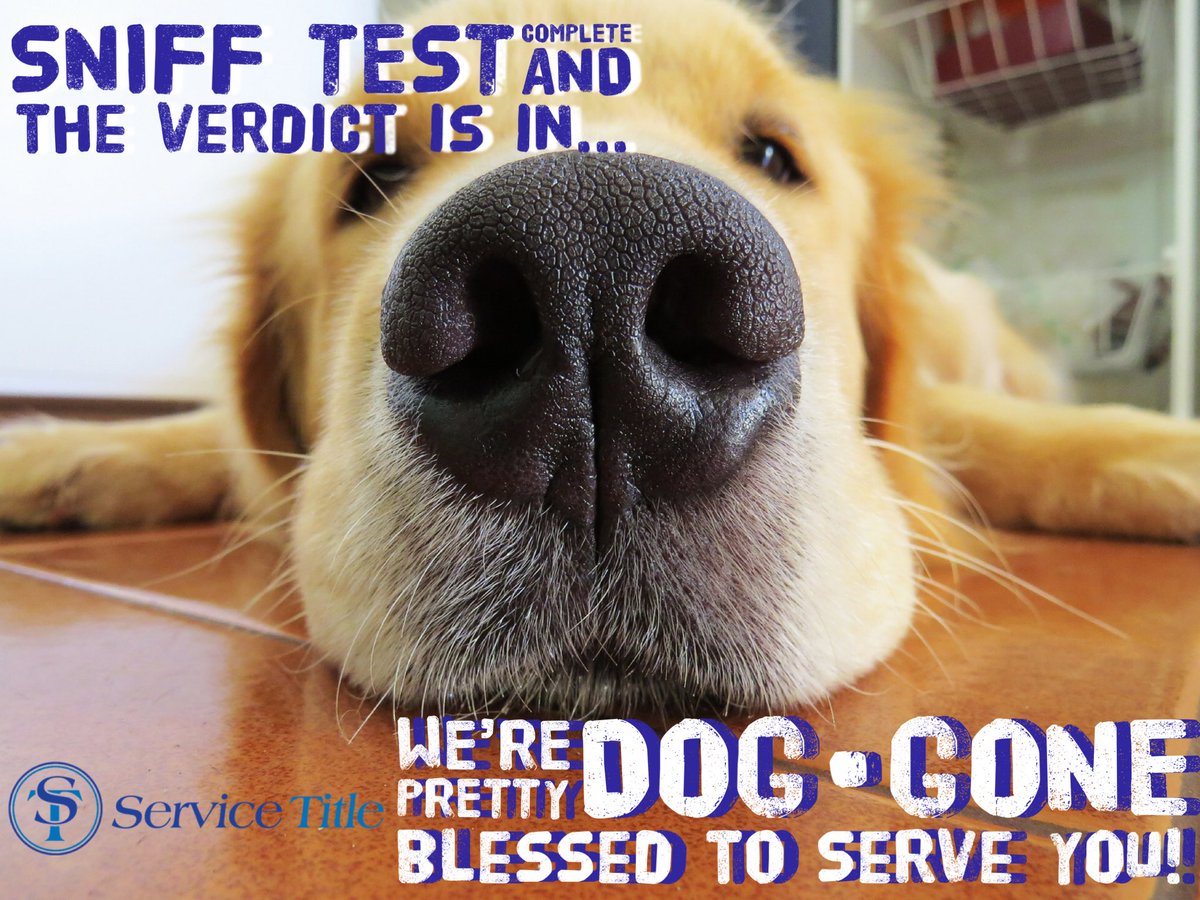 ServiceTitle's tweet photo. #HappyNationalDogDay
#SniffTestComplete
#DogGoneBlessedByYou
#LubbockRealEstate
#FullServiceClosing
#LiveLubbock https://t.co/W8rmIMw6SI