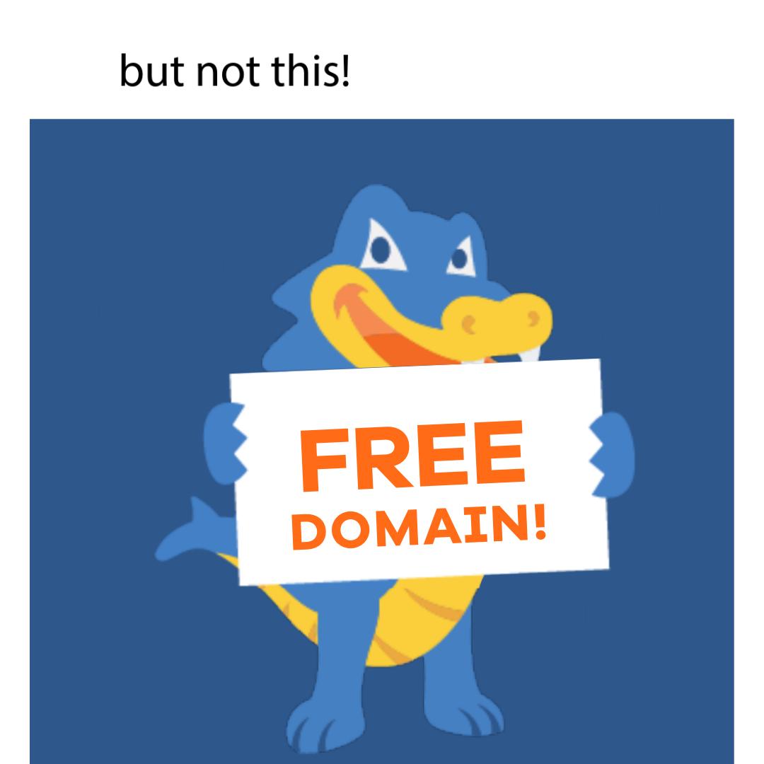 Hostgator Web Hosting free domain