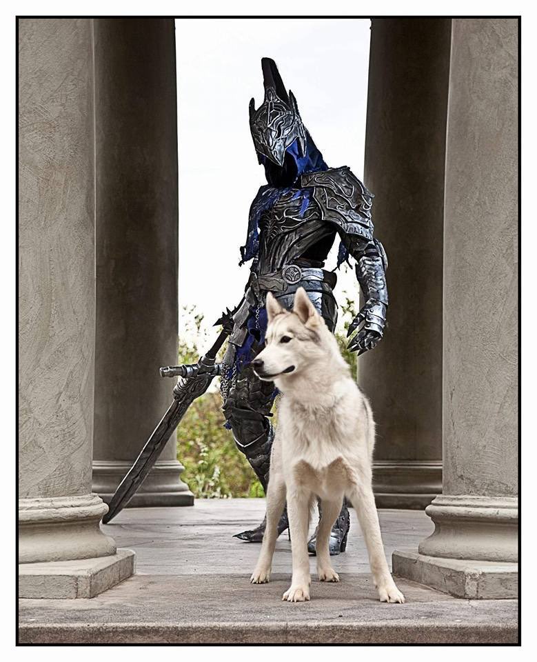 justyeliz's tweet photo. @DarkSoulsGame #InternationalDogDay2019 

Here’s our cosplay to celebrate dog day! https://t.co/D7groC7xte