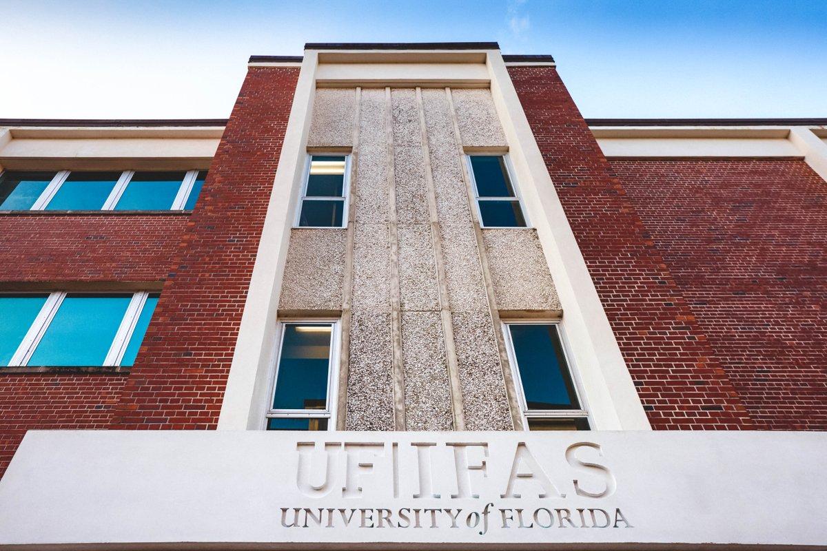 GatorsWBK's tweet photo. Academics + Athletics = @UF 💪📈

🐊 No. 8 - @USNewsEducation Top Public Universities
🐊 No. 3 - @LDirectorsCup 
🐊 120 majors
🐊 19:1 student-faculty ratio
🐊 1 of 6 in the US with colleges of medicine, engineering, law, agriculture &amp; veterinary medicine

#EverythingSchool https://t.co/Lb3XK7l7uw