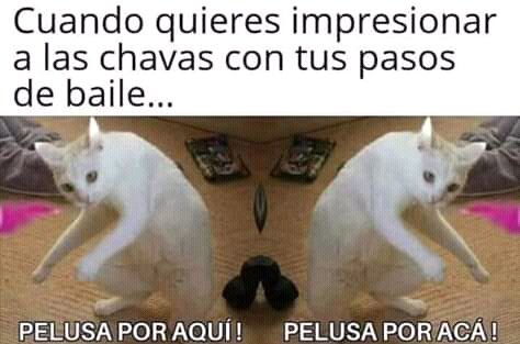 SayuriKushi's tweet photo. Doy clases los jueves, no cobro mucho 😂 @Bebepandazombi1 https://t.co/ButX2OtzCQ