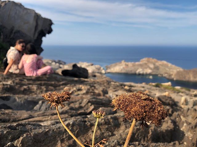 Acraul_'s tweet photo. “...más alto que el horizonte, quiero tener buena vista...” No la puedo imaginar mejor
#capdecreus #motheranddaughter 
#mediterraneo #igers_girona #somosinstagramers #igersspain #igerscatalunya #landscape #dof #total_dof  #finisterra #skylovers #sea #mediterranean_sea #cabod… https://t.co/bLTiG2s2AW