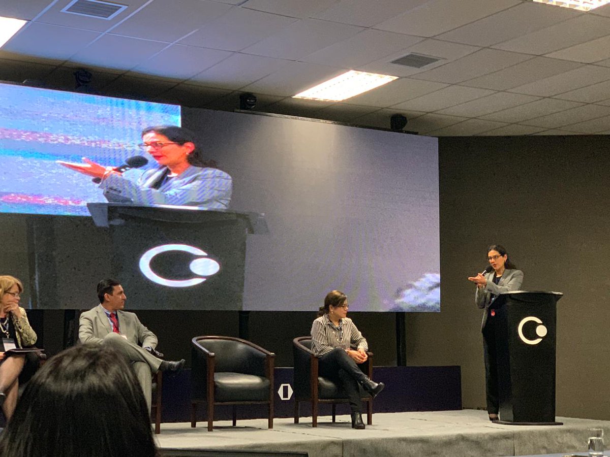 MinemPeru's tweet photo. Viceministra de Electricidad, Patricia Elliot, inaugura el  XVII Seminario Internacional Caminos para la Excelencia en Servicios de Distribución y Relacionamiento con los Clientes, organizado por el Comisión de Integración Energética Regional. #SICESD2019. https://t.co/irm3W0Oeew