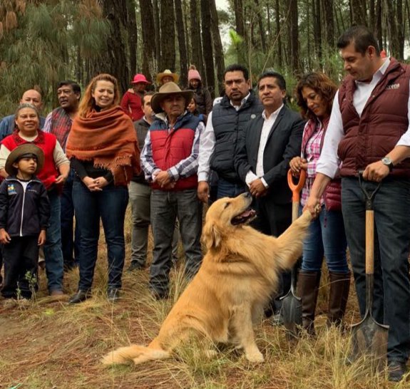 armentapuebla_'s tweet photo. ¡La lealtad y el cariño de un perro son incomparables!. Los invito a que comenten con una foto y el nombre de su mascota. 
   
Muchos amigos están esperando una oportunidad.
¡No compres, adopta! 
#InternationalDogDay 🐾🐶 https://t.co/z8xm2i0JKW