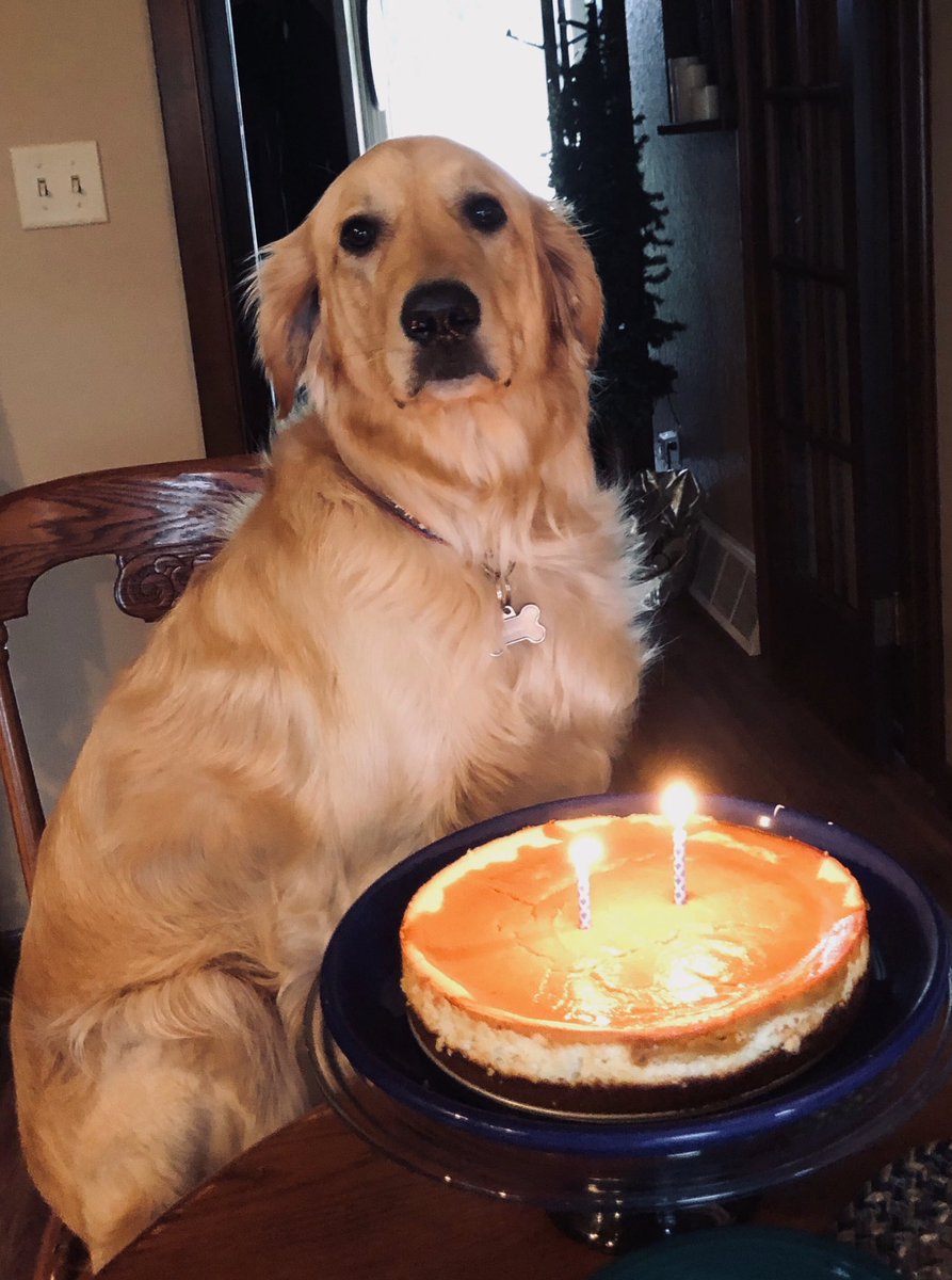 jbelt46's tweet photo. Happy National Dog Day Moose!! https://t.co/giX6Am43zM