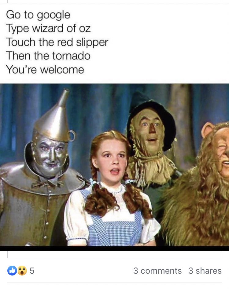 paigemcgregor20's tweet photo. Right I’m just putting this out there becahse, I found this today and I think it’s actually made my week already https://t.co/rccoUQatAh