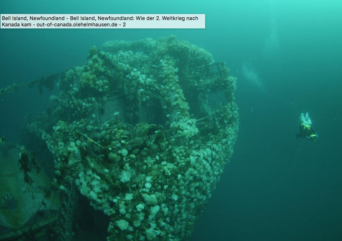 Schiffswracks vor Bell Island, Newfoundland, zum "National Historic Events" erklärt! bit.ly/2Nye9VF #ExploreNL #EntdeckeKanada #ForGlowingHearts #Shipwrecks