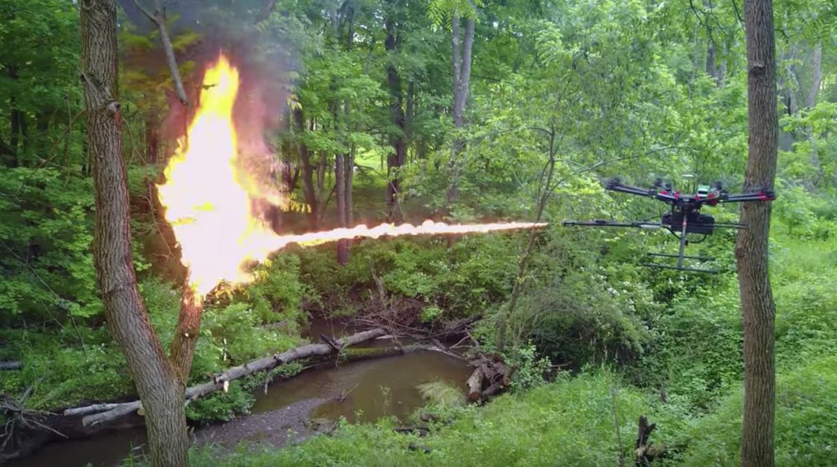 Gizmodo's tweet photo. FAA warns: Don't you dare put a flamethrower on your drone
https://t.co/C5UFAi0RwE https://t.co/3DK5pdjlme