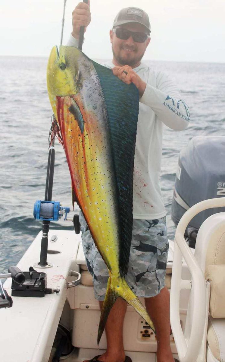 _HBVBR's tweet photo. Amazing week fishing inland and offshore https://t.co/md8QXZd1q1 https://t.co/VwBlrF5E4s