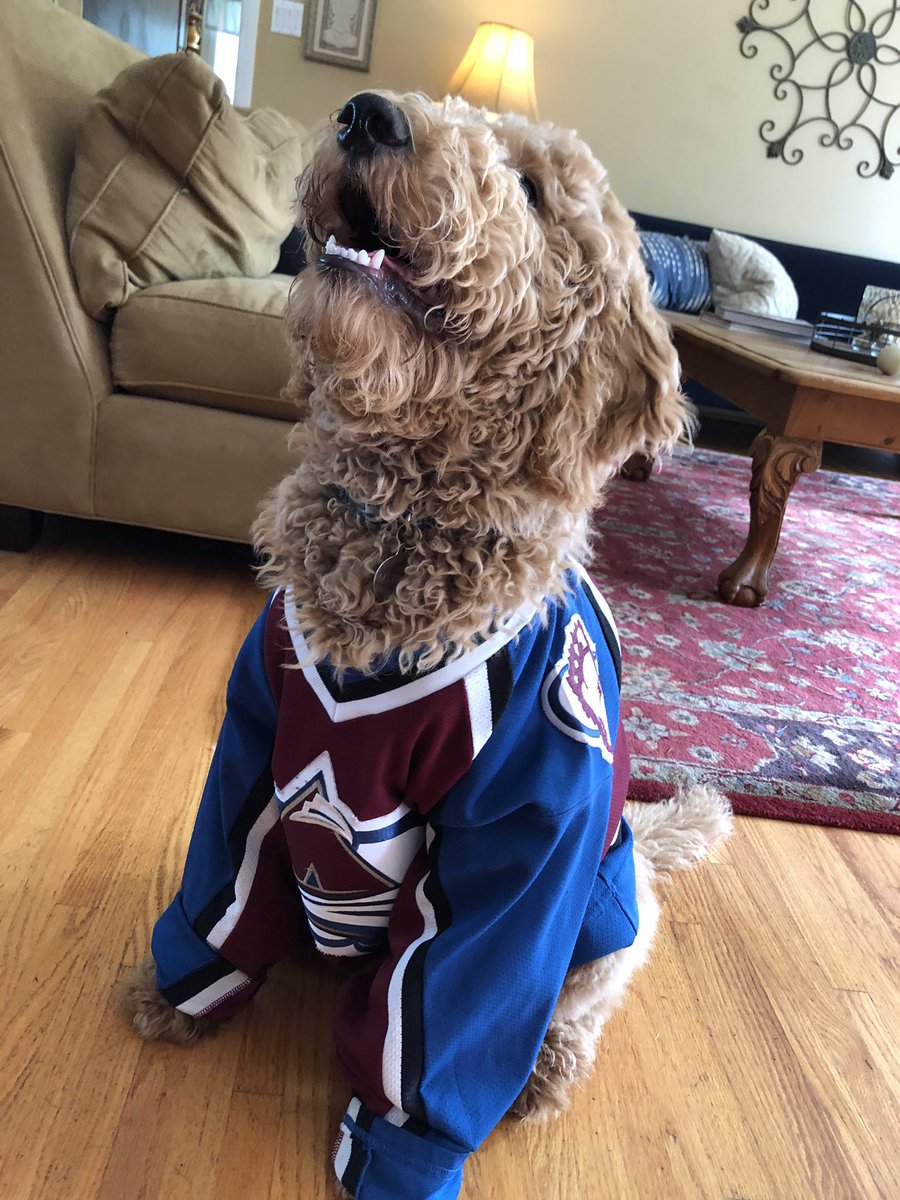 Will_Nelson_9's tweet photo. Hey @Avalanche,
It’s about time you re-sign my dog Mikko. He deserves a big contract and he has been training very hard this summer. I think it would be very fitting on National Dog Day. #GoAvsGo https://t.co/Q2Zhxdu20b