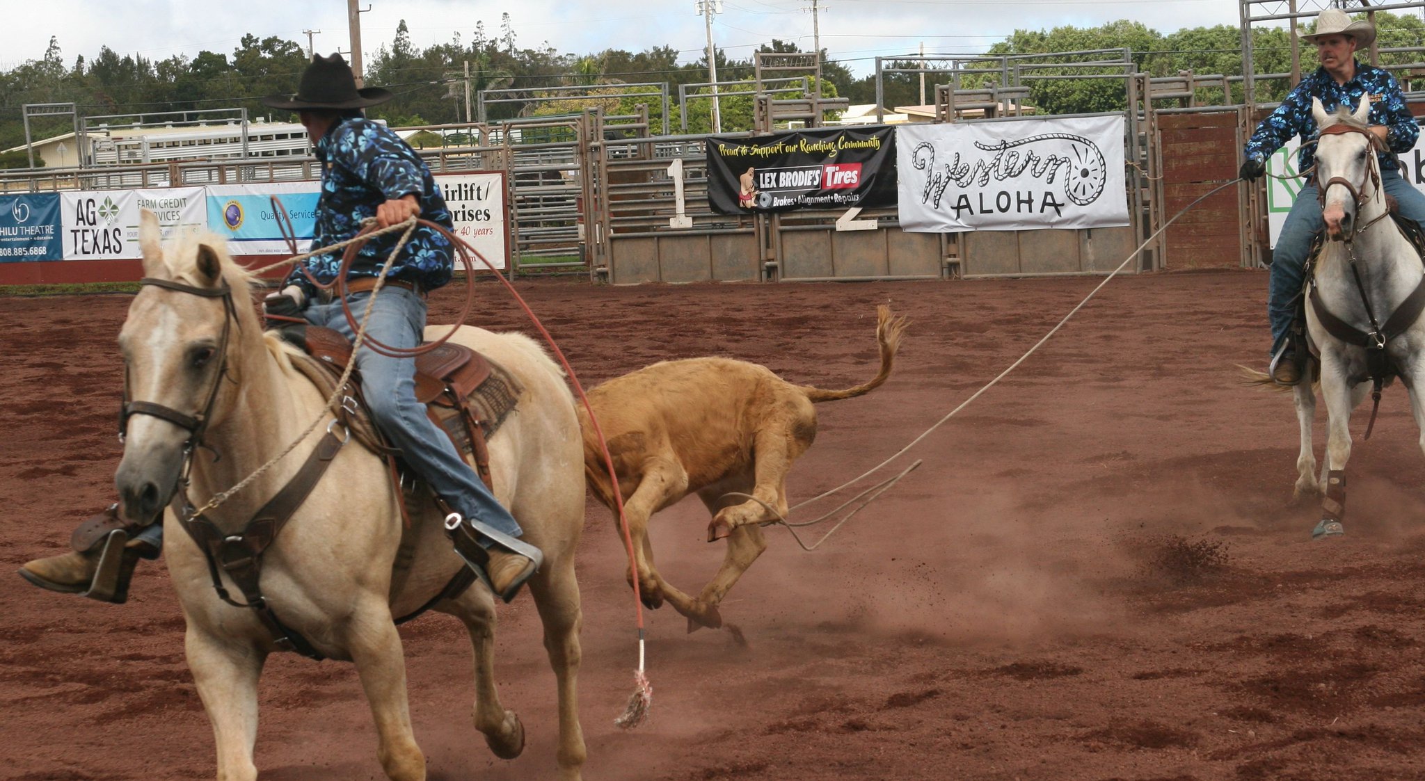 Parker Ranch HOME OF THE PANIOLO on Twitter "Join us for some non