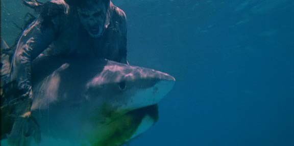 zombie vs shark gif