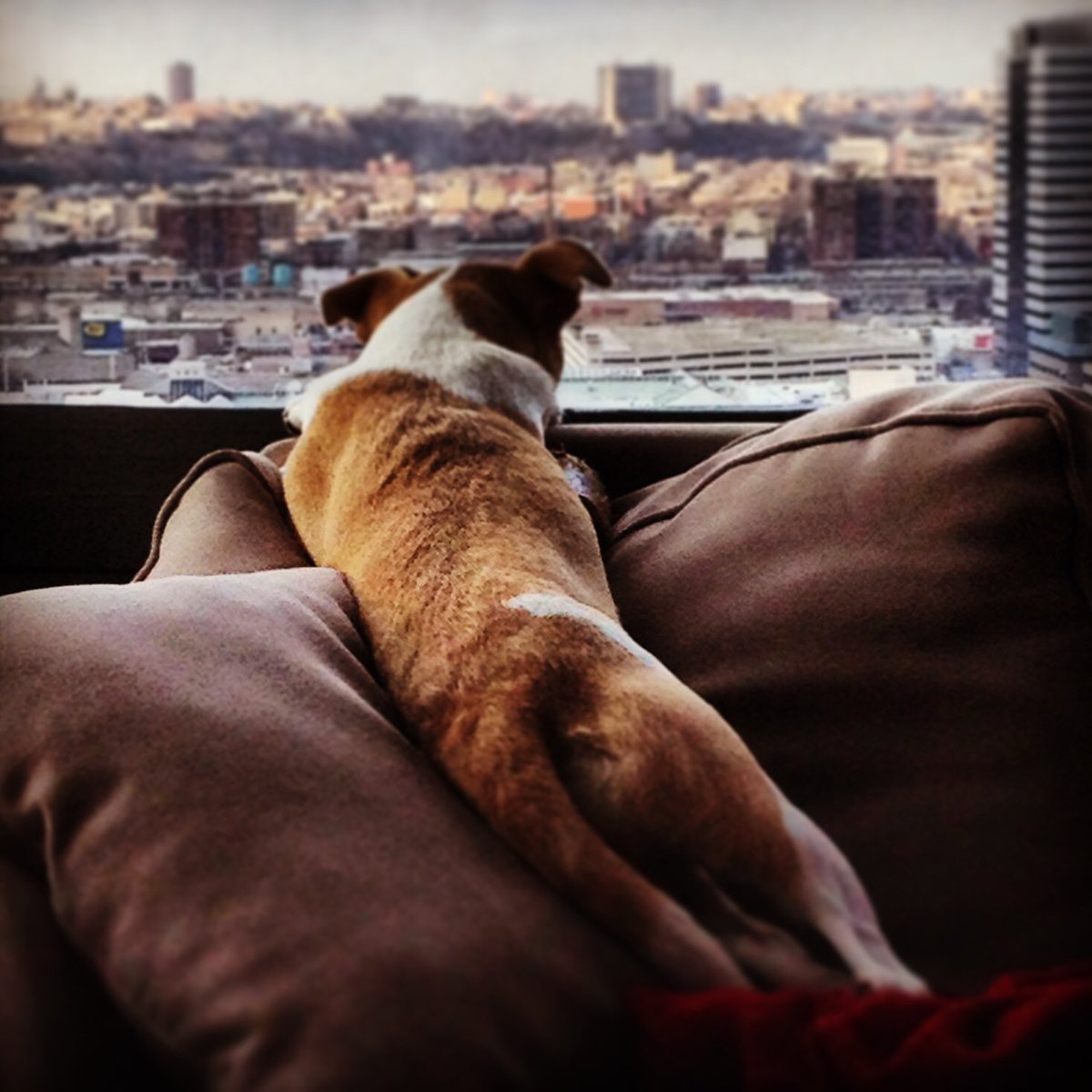 Brian Maloney tweet media