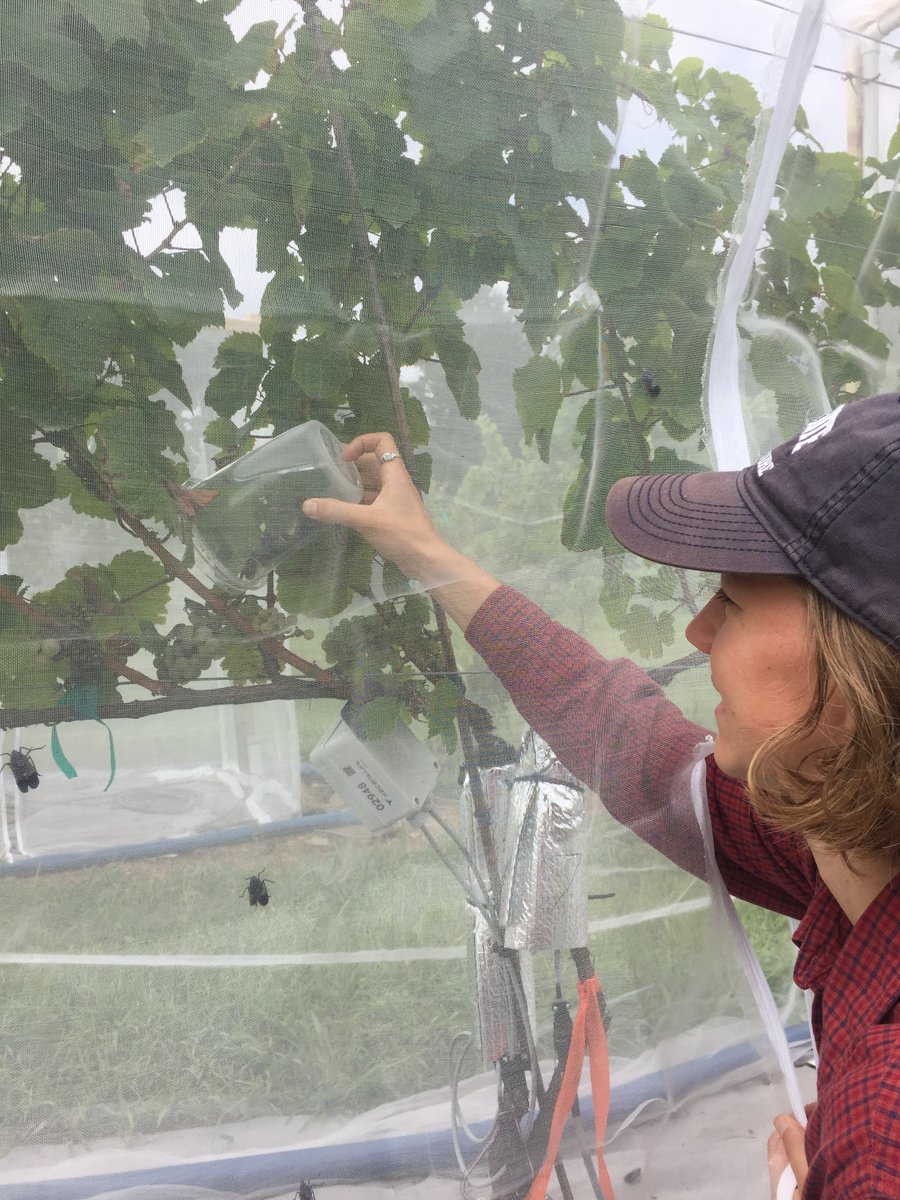 this tragic earth the