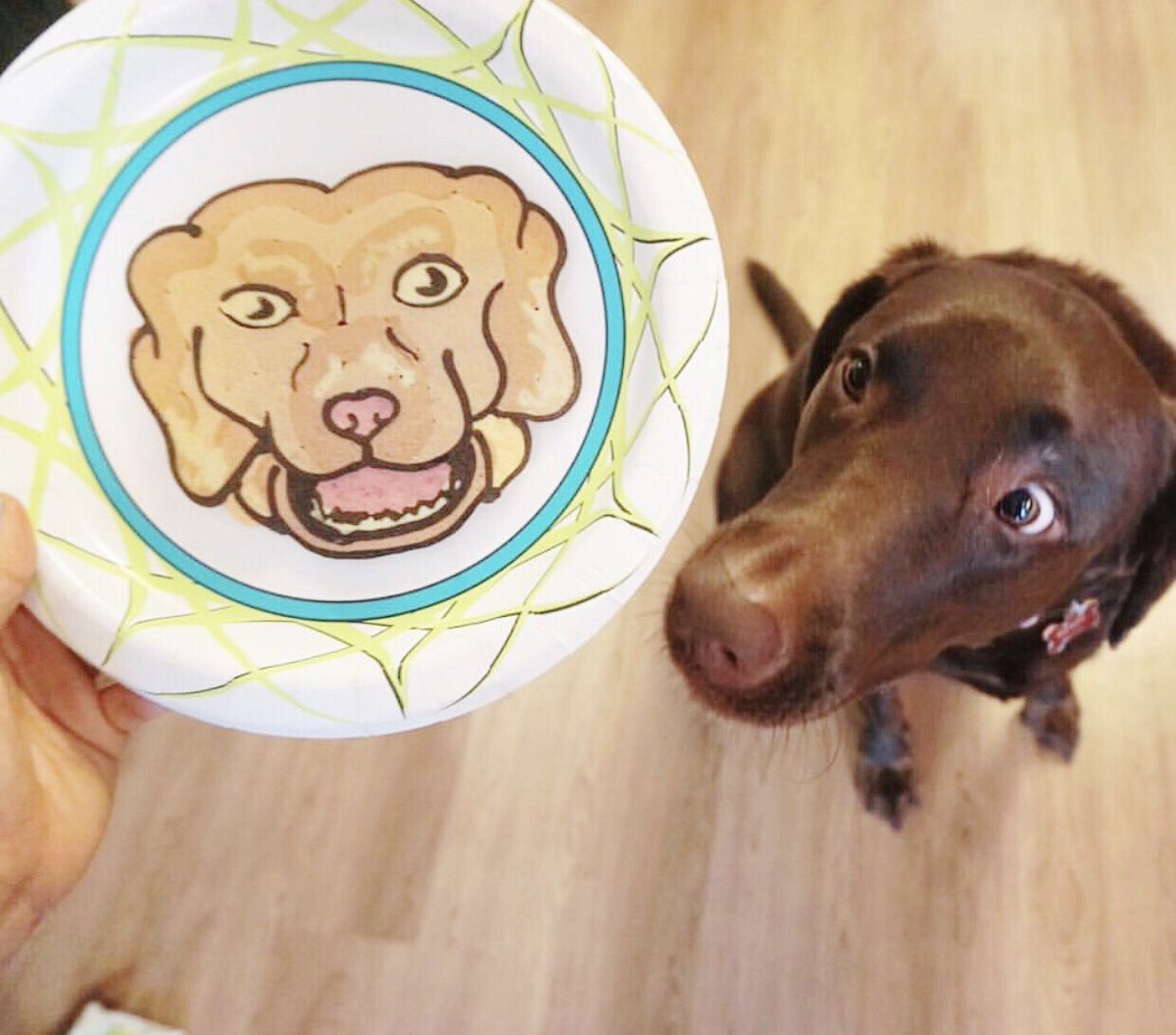 farinupusa's tweet photo. Happy International Dog Day! 🐶🐾 We love our furry friends and this cute doggie pancake by @GetcakedLA ❤️ Don’t forget to treat your pup to a walk or a round of fetch. 🥰 #InternationalDogDay https://t.co/lacVgX3M8E